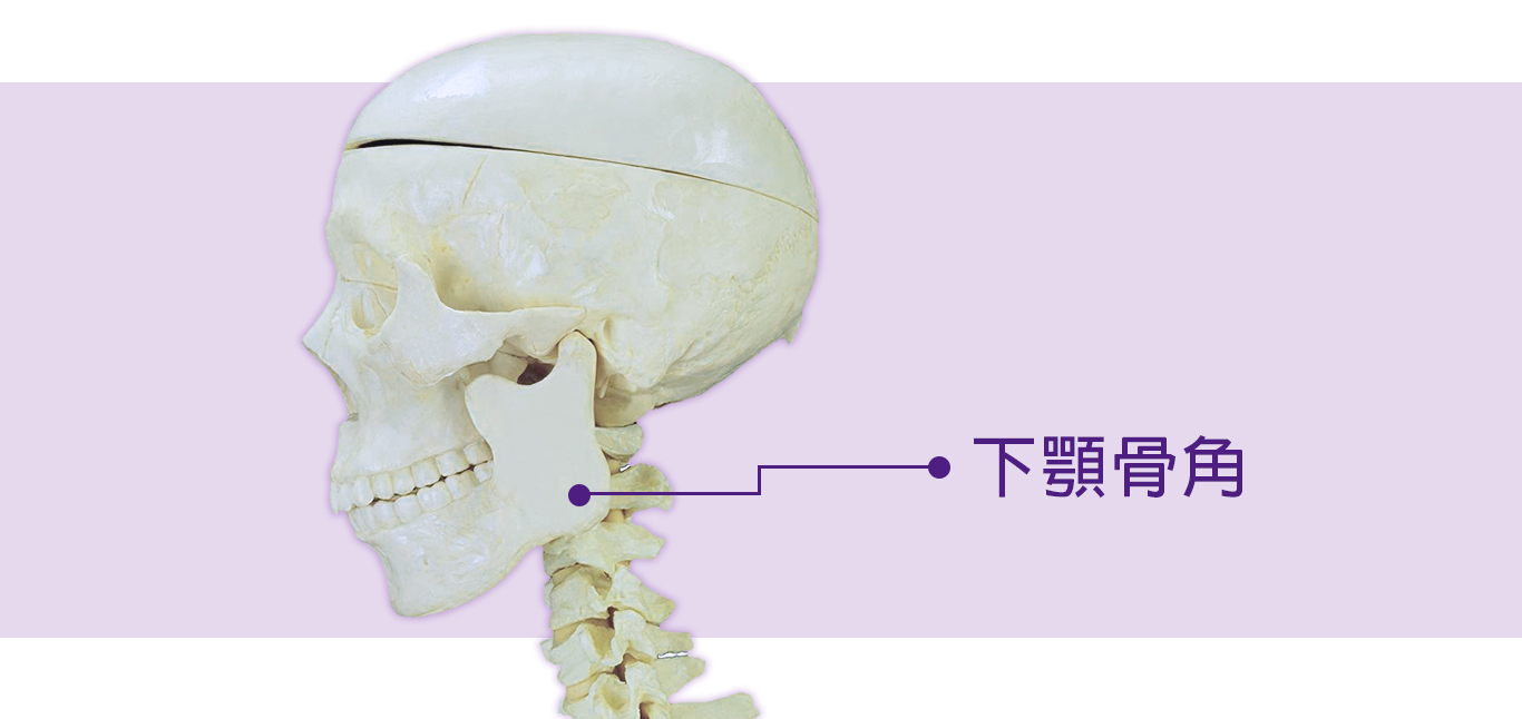 下颚骨角(腮帮子)磨腮削骨手术